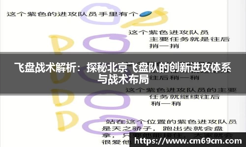 飞盘战术解析：探秘北京飞盘队的创新进攻体系与战术布局