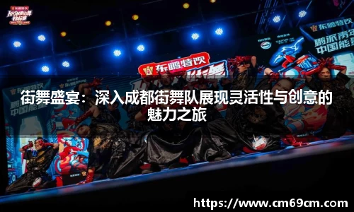 街舞盛宴：深入成都街舞队展现灵活性与创意的魅力之旅