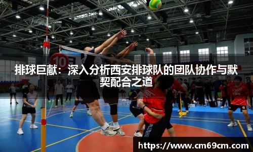 排球巨献：深入分析西安排球队的团队协作与默契配合之道